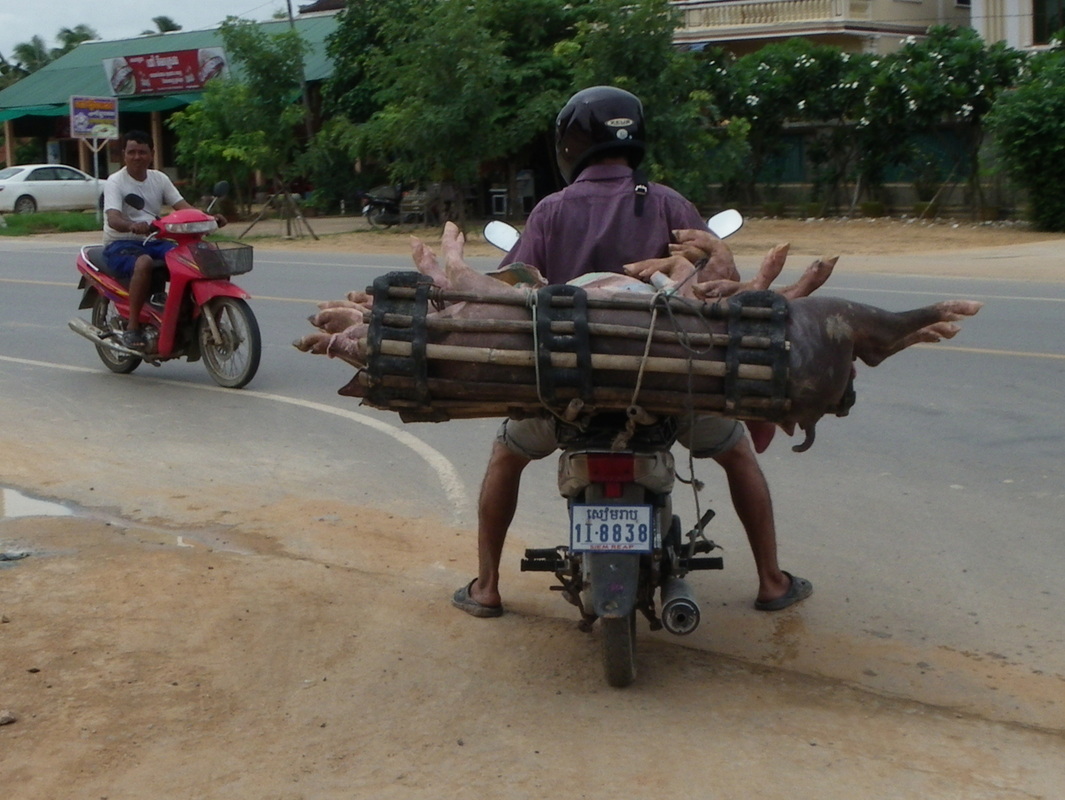 Cambodia Siem Reap Bike Road