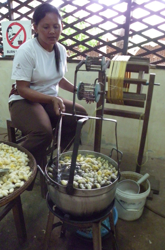 Silk worm cocoons, Angkor Silk Worm Farm, Siem Reap, Cambodia, Artisans d Angkor Making silk