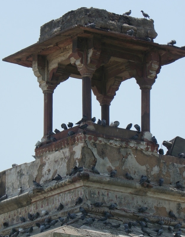 The Red Fort, Delhi, India. Rang Mahal. (Palace of Colours).