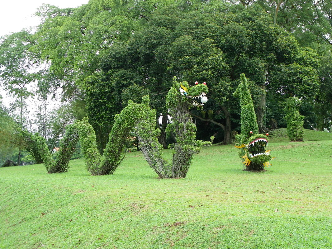 Jurong Lake Gardens -  Singapore Japanese and Chinese Gardens. Dragon Hedges.