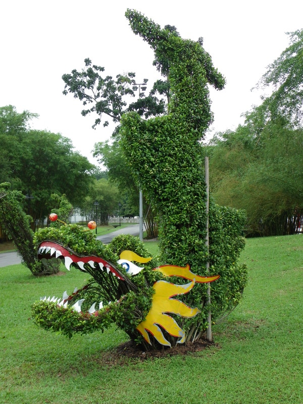 Jurong Lake Gardens -  Singapore Japanese and Chinese Gardens. Dragon Hedges.