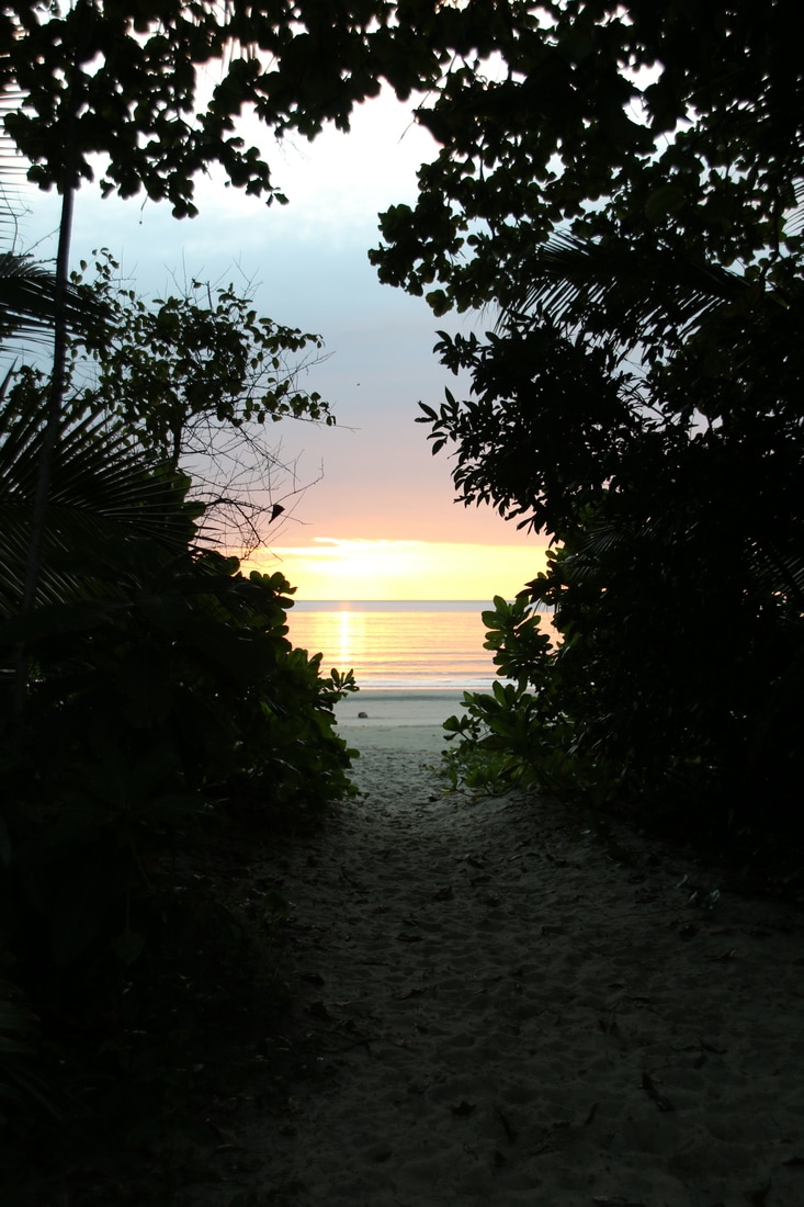Sunrise, Four Mile Beach, Port Douglas, Queensland, Australia