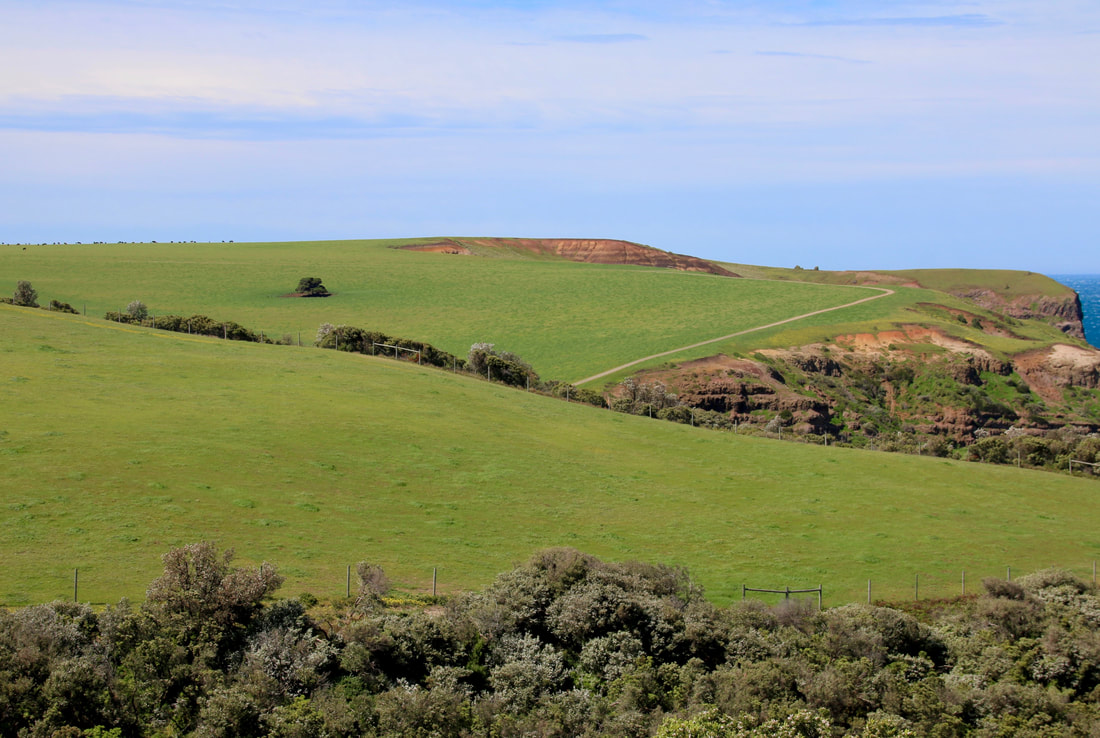 Clifftop farmland viewed from the Bushrangers Bay Walk, Mornington Peninsula, Victoria, Australia