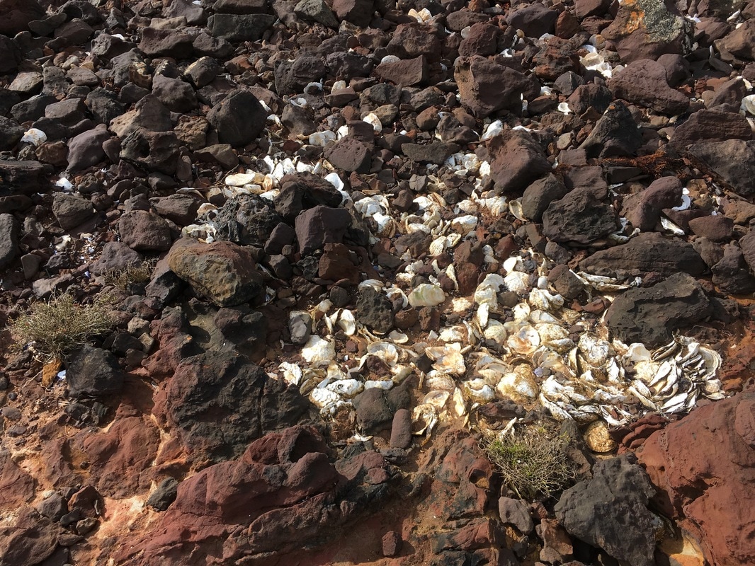 Shell Middens, Mount Eliza, Mornington Peninsula, Victoria, Australia