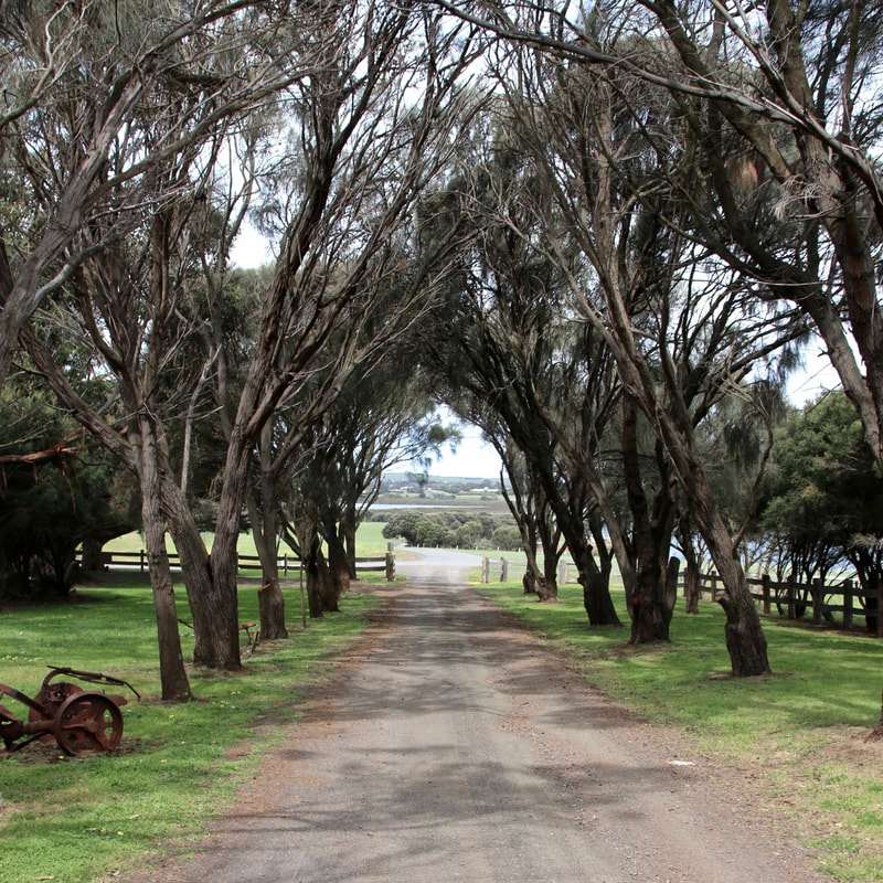 Entrance Driveway to Churchill Island Heritage Farm, Victoria, Australia