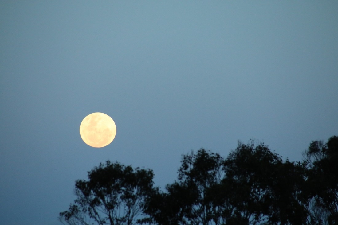 Super Moon, Mount Eliza, Victoria, Australia