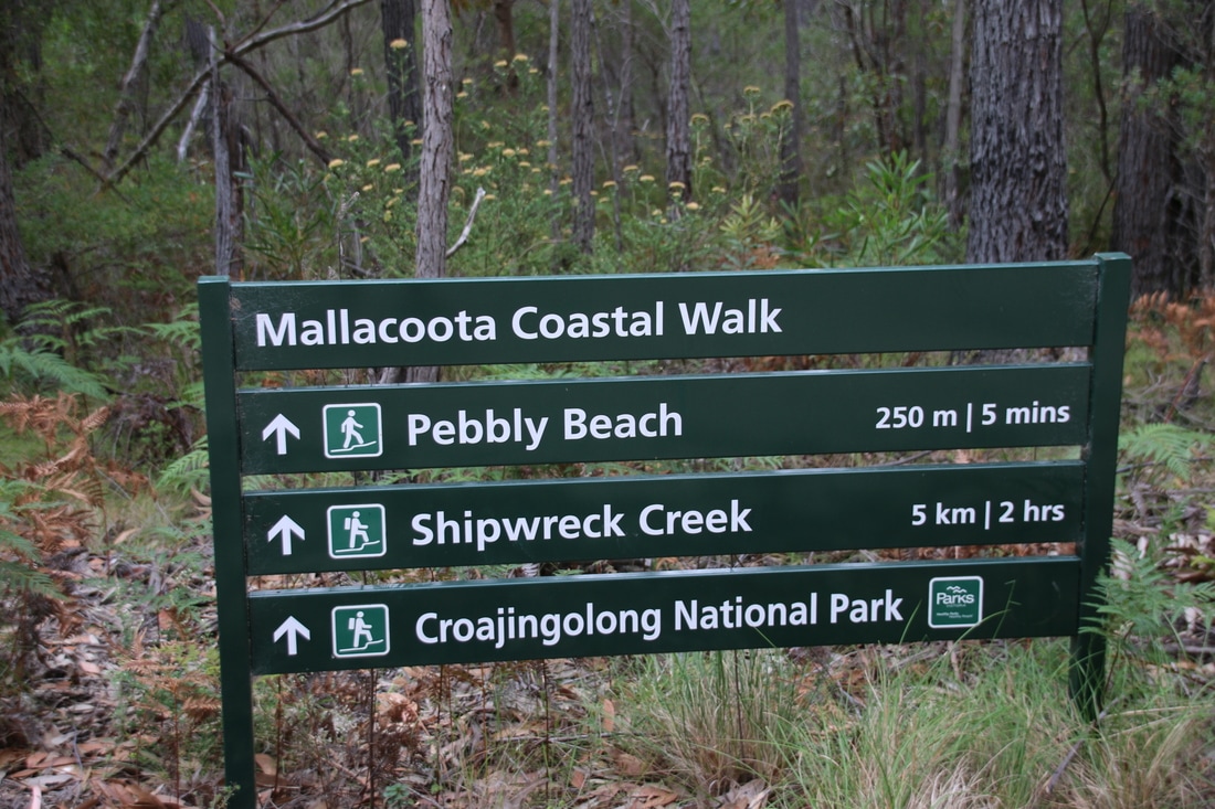 Pebbly Beach, Mallacoota, Victoria, Australia
