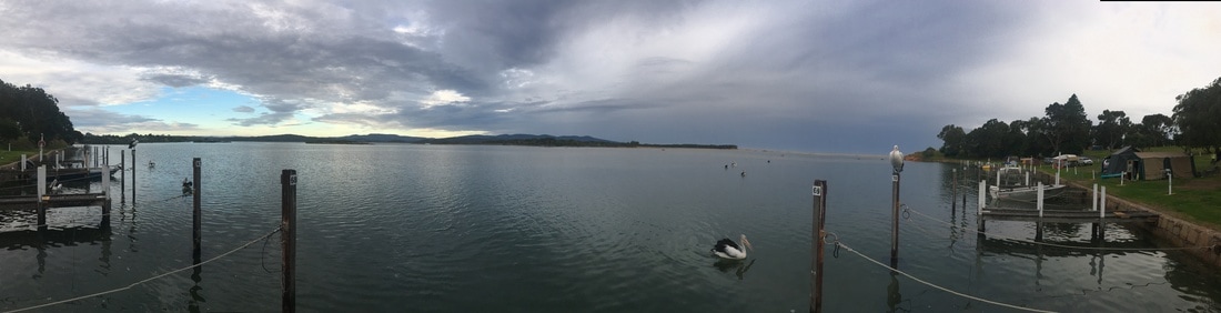 Pelicans, Mallacoota Inlet, Mallacoota, Victoria, Australia