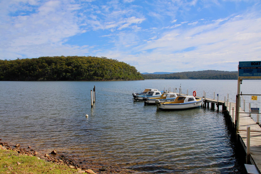 Boats moored at the jetty, Top Lake and Bottom Lake and Surrounds, Mallacoota, Victoria, Australia