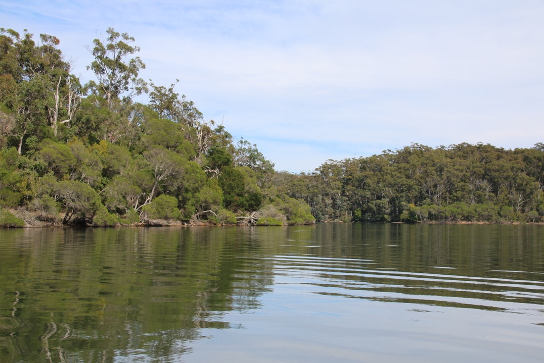Top Lake and Bottom Lake and Surrounds, Mallacoota, Victoria, Australia