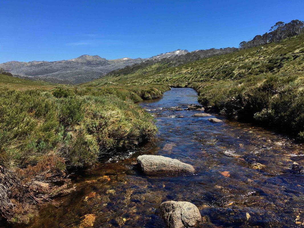 Alpine stream, Cascade Hut Track, Kosciuszko National Park, New South Wales, Australia