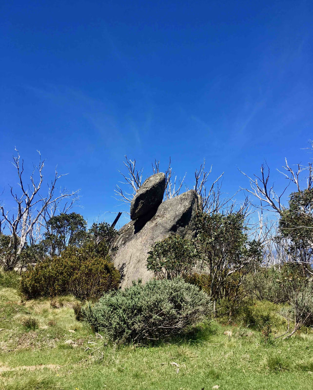 Bob's Ridge, Cascade Hut Track, Kosciuszko National Park, New South Wales, Australia