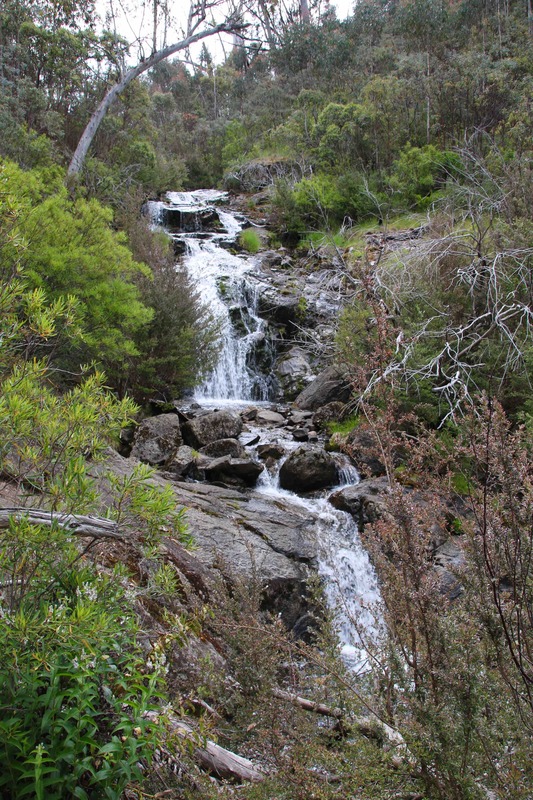 Sawpit Creek, Waterfall, The Waterfall Track, Kosciuszko National Park, New South Wales, Australia