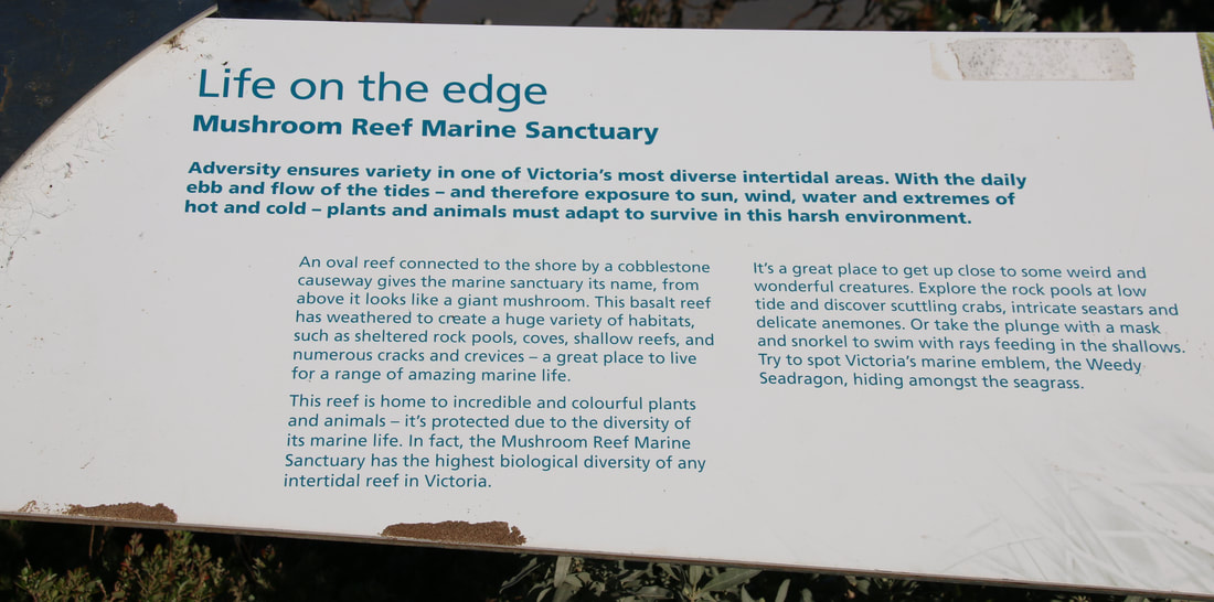 Flinders Beach and Mushroom Marine Sanctuary, Mornington 