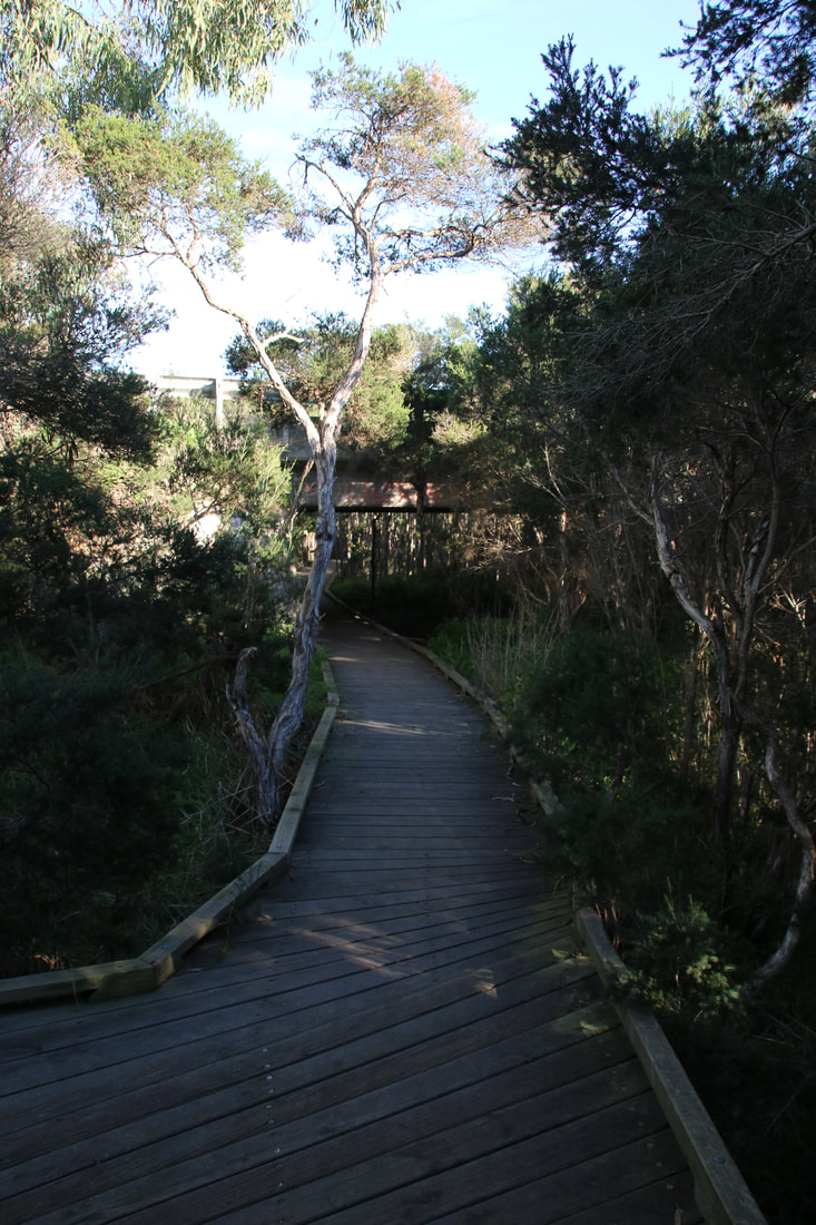 Balcombe Estuary Boardwalk to the Briars. Path under Nepean Highway.
