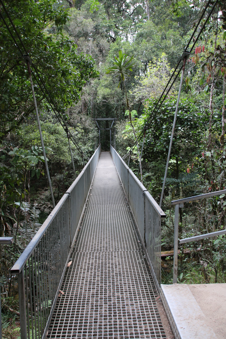 Rex Creek Bridge, Mossman Gorge, Daintree National Park, Queensland, Australia