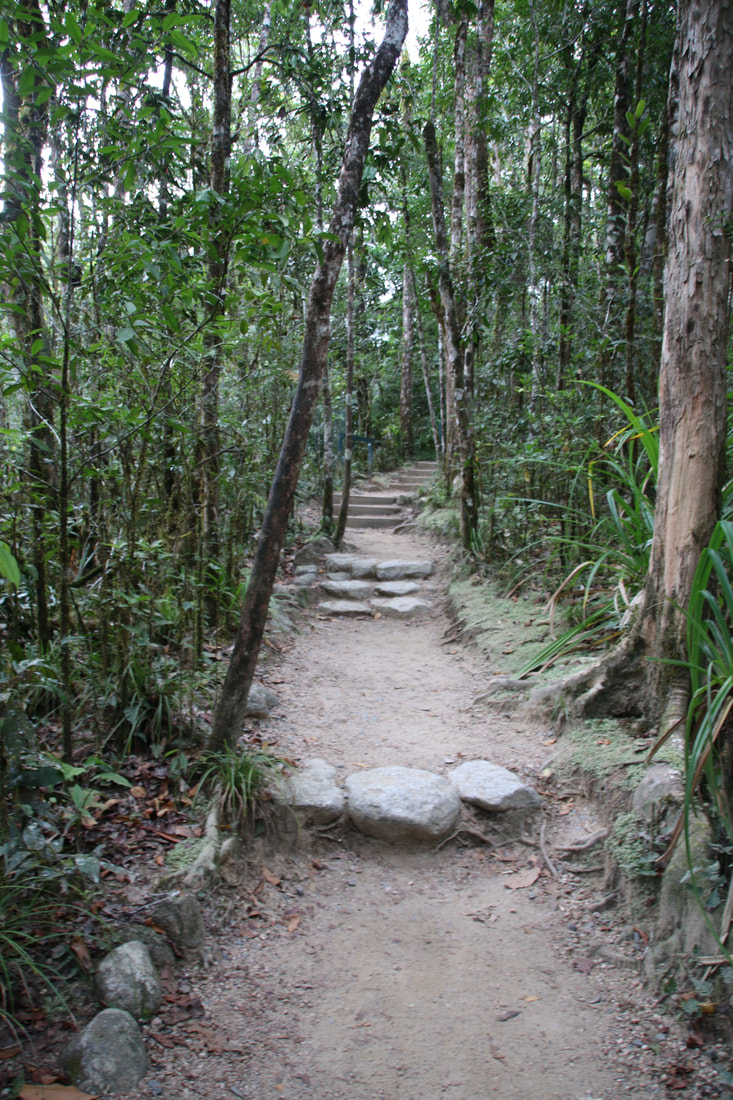 Walking Paths, Mossman Gorge, Daintree National Park, Queensland, Australia