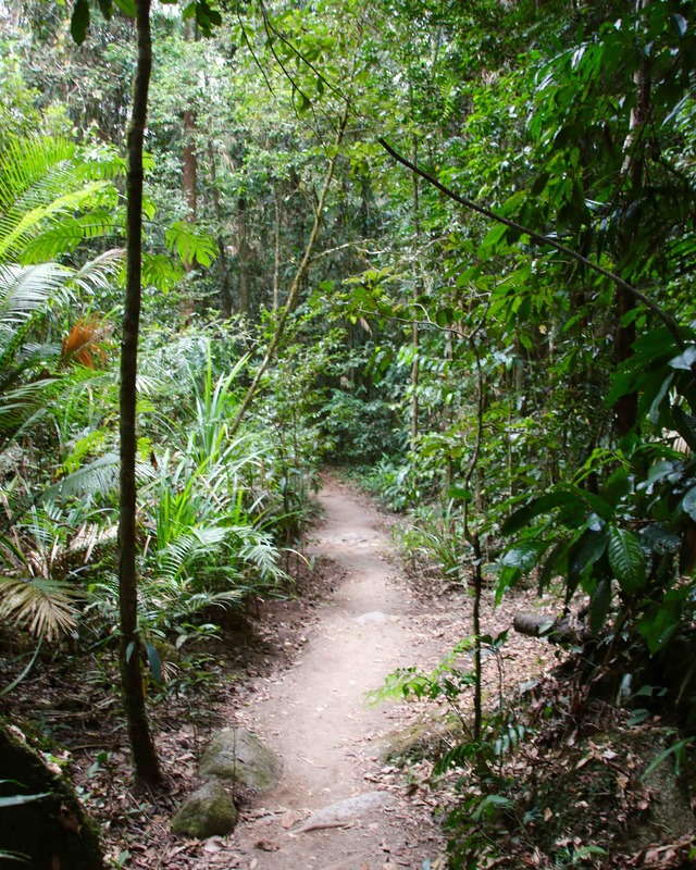 Walking Paths, Mossman Gorge, Daintree National Park, Queensland, Australia