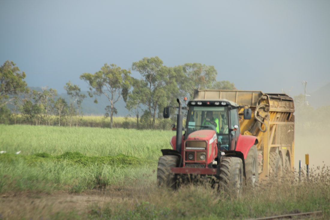 Sugar Cane Farming, Queensland, Australia