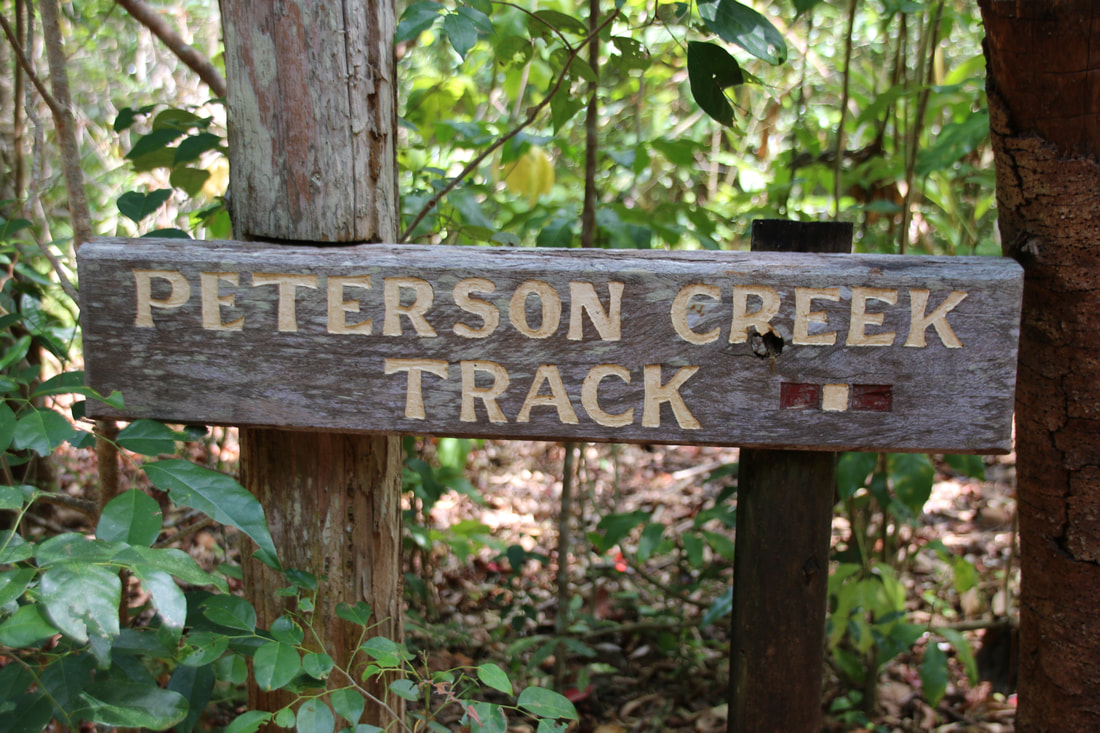 Peterson Creek Walking Track, Yungaburra, Atherton Tablelands, Queensland, Australia