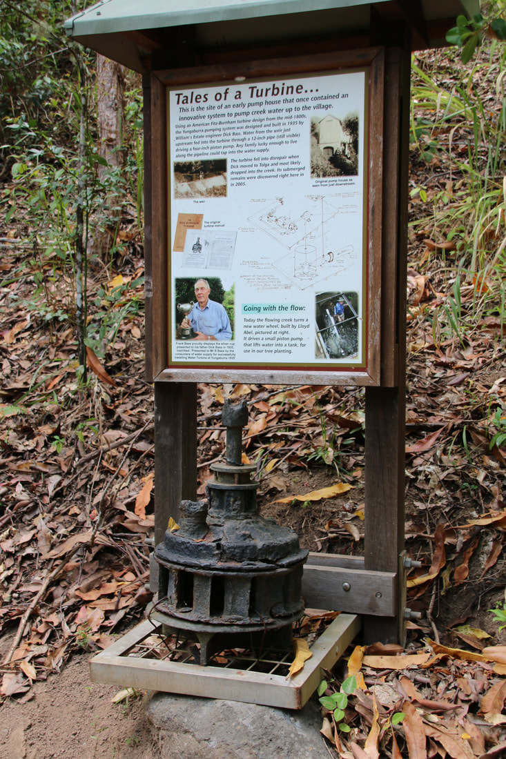 Peterson Creek Walking Track, Yungaburra, Atherton Tablelands, Queensland, Australia. 
