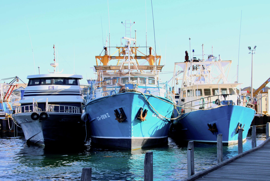 Fishing Boats. Fremantle Boat Harbour, Western Australia