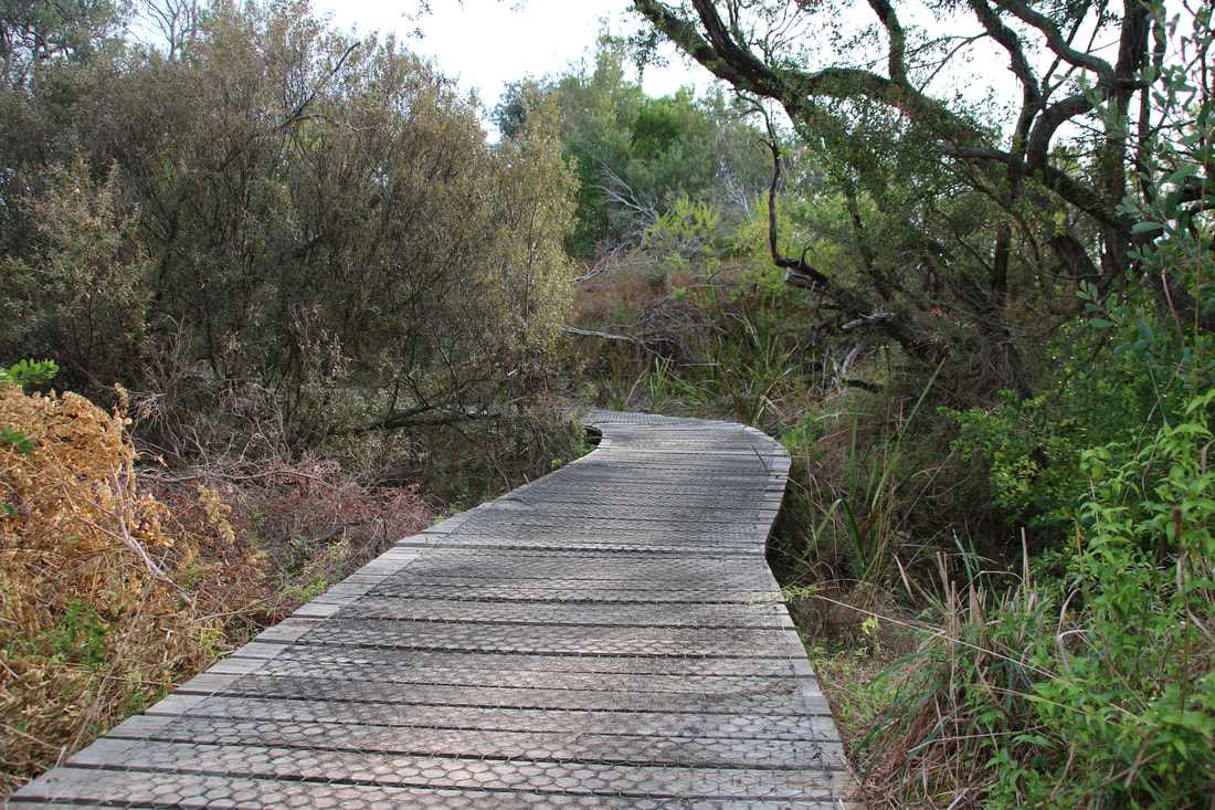 Board walk from the creek to the beach. Coolart Wetlands and walking trails, Mornington Peninsula, Victoria, Australia