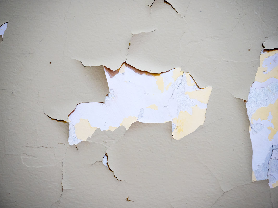 Cracking and peeling wall paint, Historic Coolart Homestead, Mornington Peninsula, Australia. 