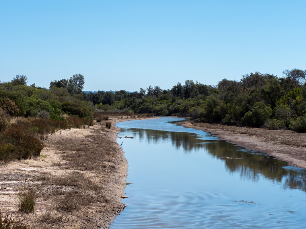 Home Creek. Coolart Wetlands and walking trails, Mornington Peninsula, Victoria, Australia