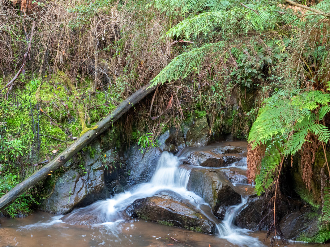 Olinda Falls. Olinda Forest, Dandenong Ranges National Park, Victoria, Australia