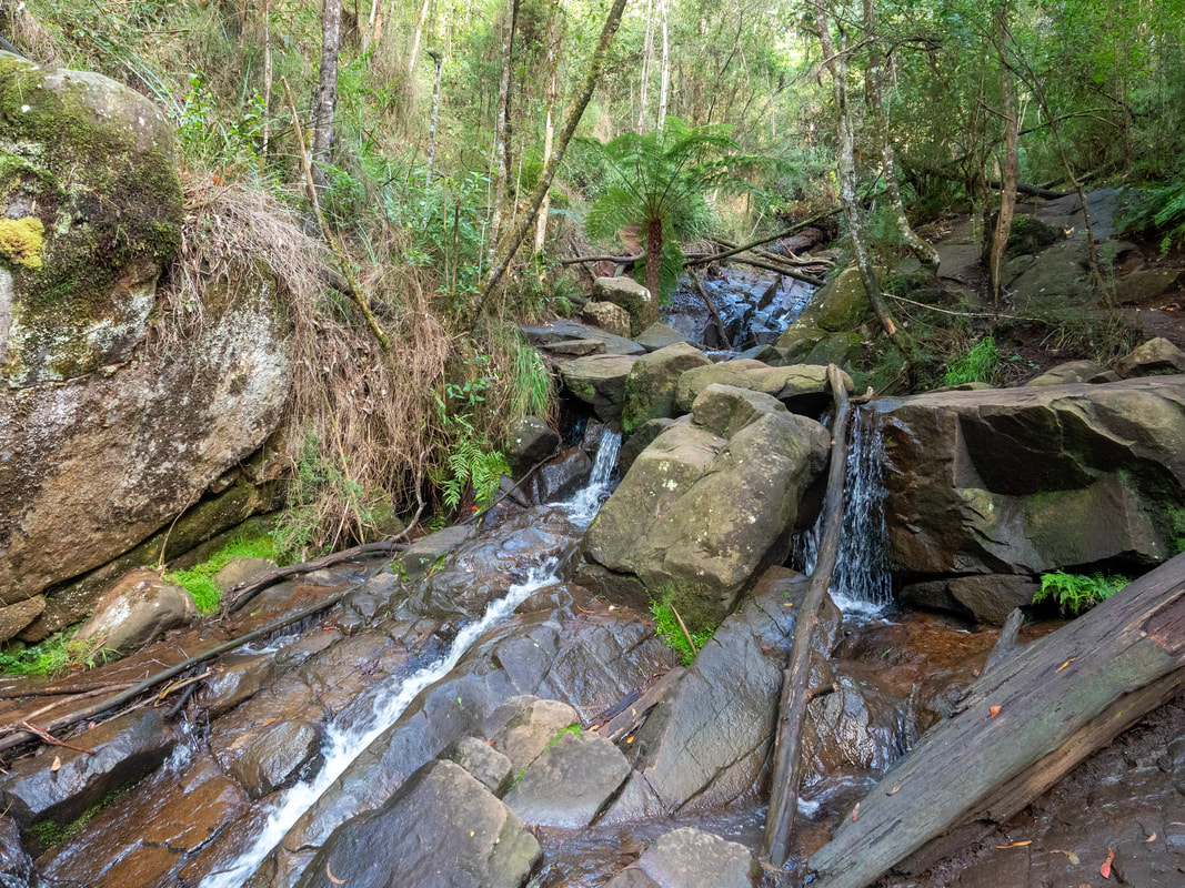 Olinda Falls. Olinda Forest, Dandenong Ranges National Park, Victoria, Australia