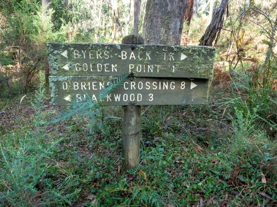 Lerderderg State Park, Victoria, Australia. Walking, bushwalking, travel, explore, nature.