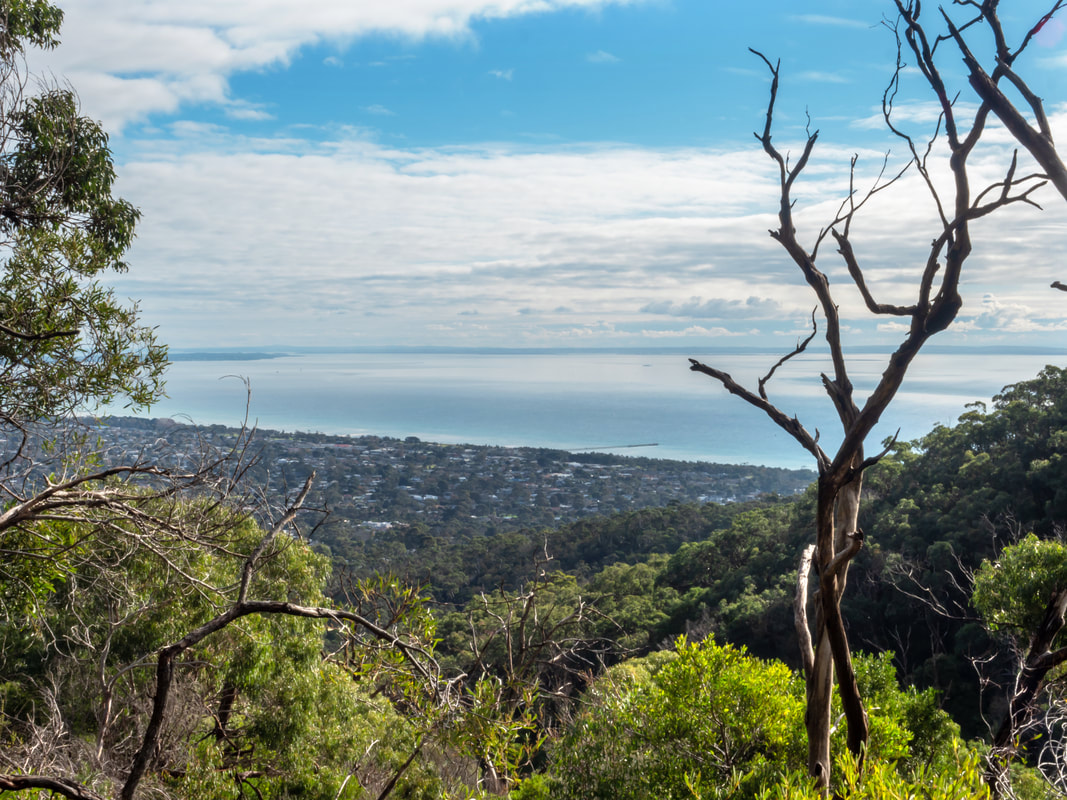 Arthur's Seat, Mornington Peninsula, Victoria, Australia, view over Port Phillip Bay