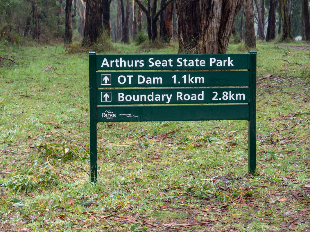 OT Dam Circuit Walk, Arthur's Seat State Park, Mornington Peninsula, Victoria, Australia, walking trails, bush walking