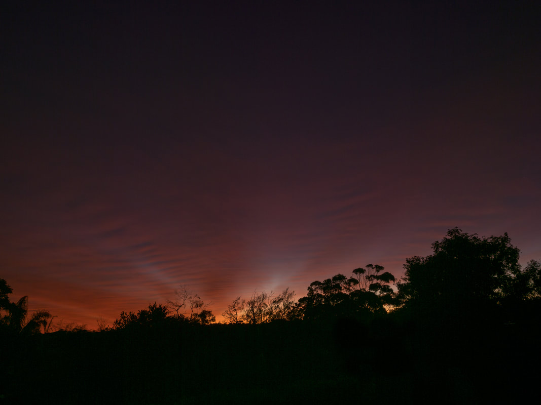 Spectacular Sunrise, Purple, REd, Yellow. Mount Eliza, Victoria, Australia.