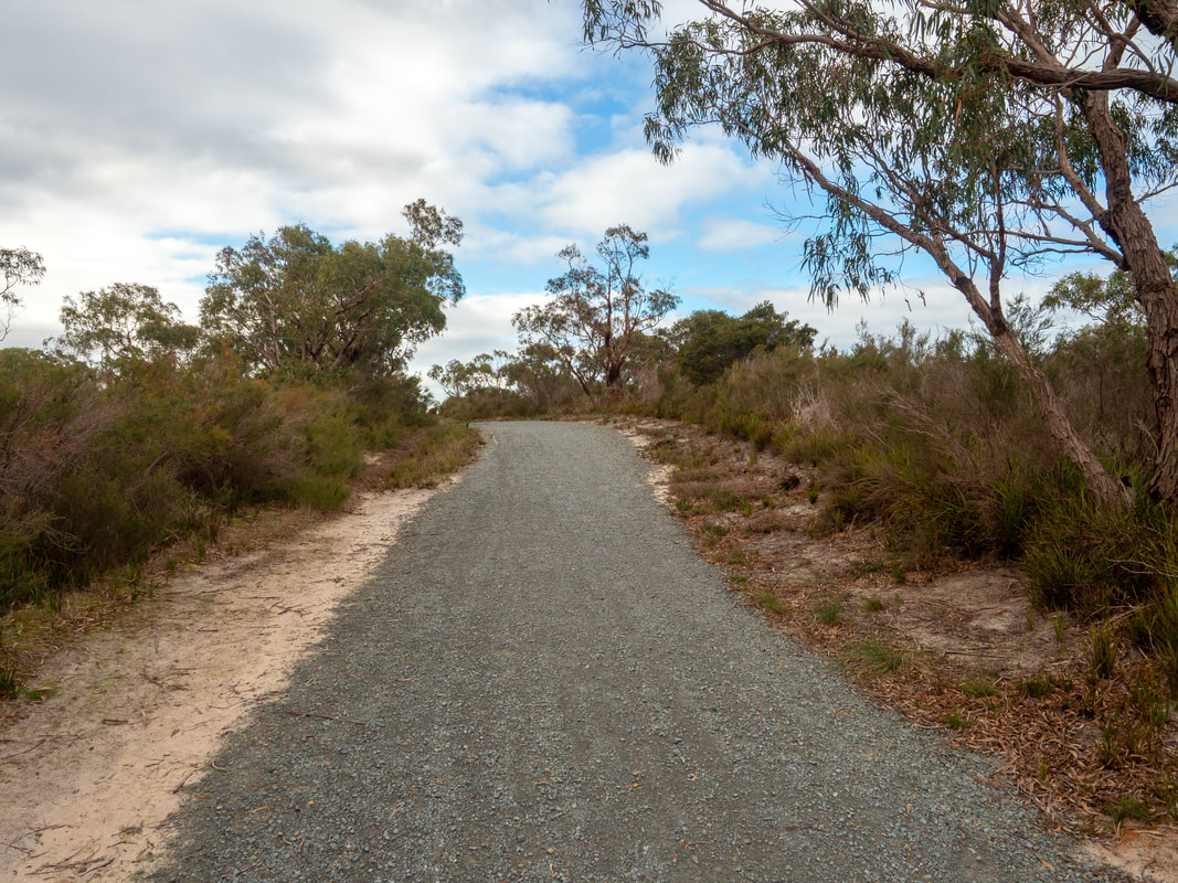 Walking tracks. The Pines Flora and Fauna Reserve, Frankston, Mornington Peninsula, Victoria, Australia, 