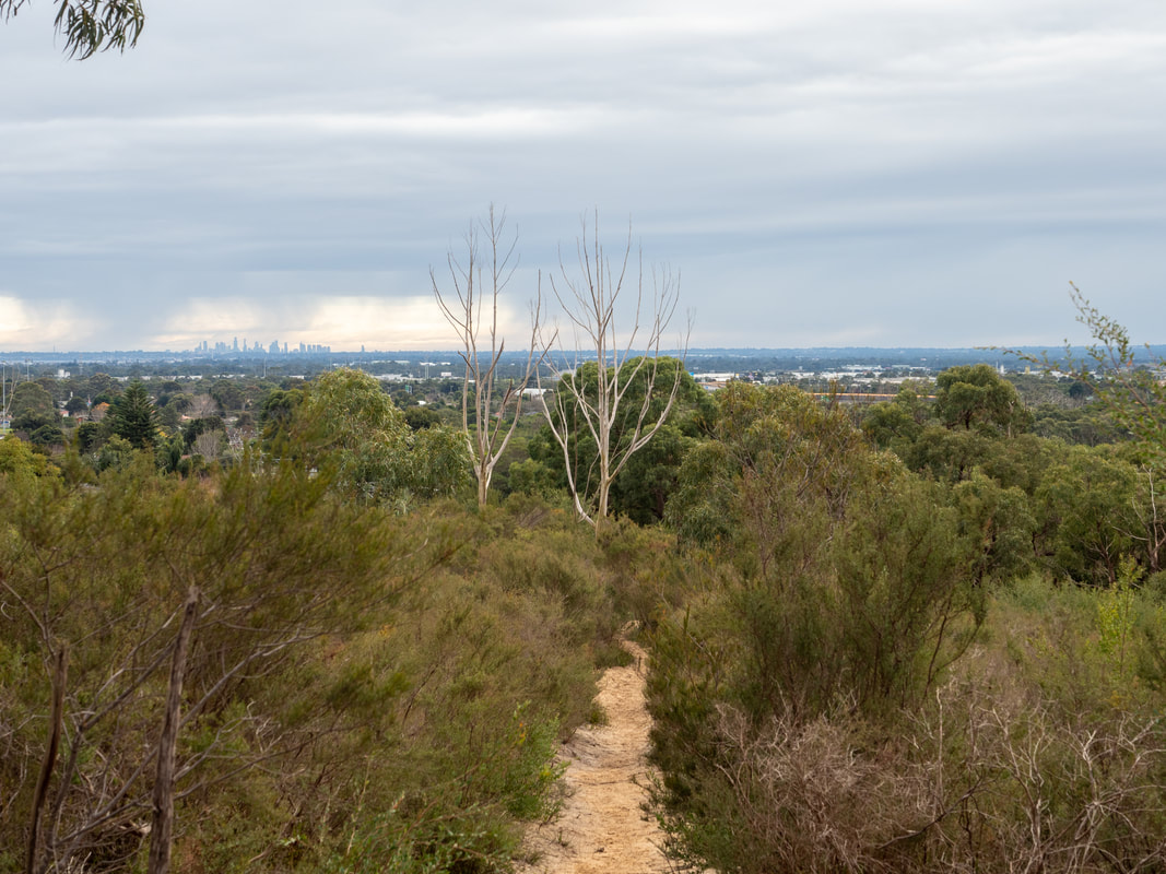 View to Melbourne City from the walking tracks. The Pines Flora and Fauna Reserve, Frankston, Mornington Peninsula, Victoria, Australia.