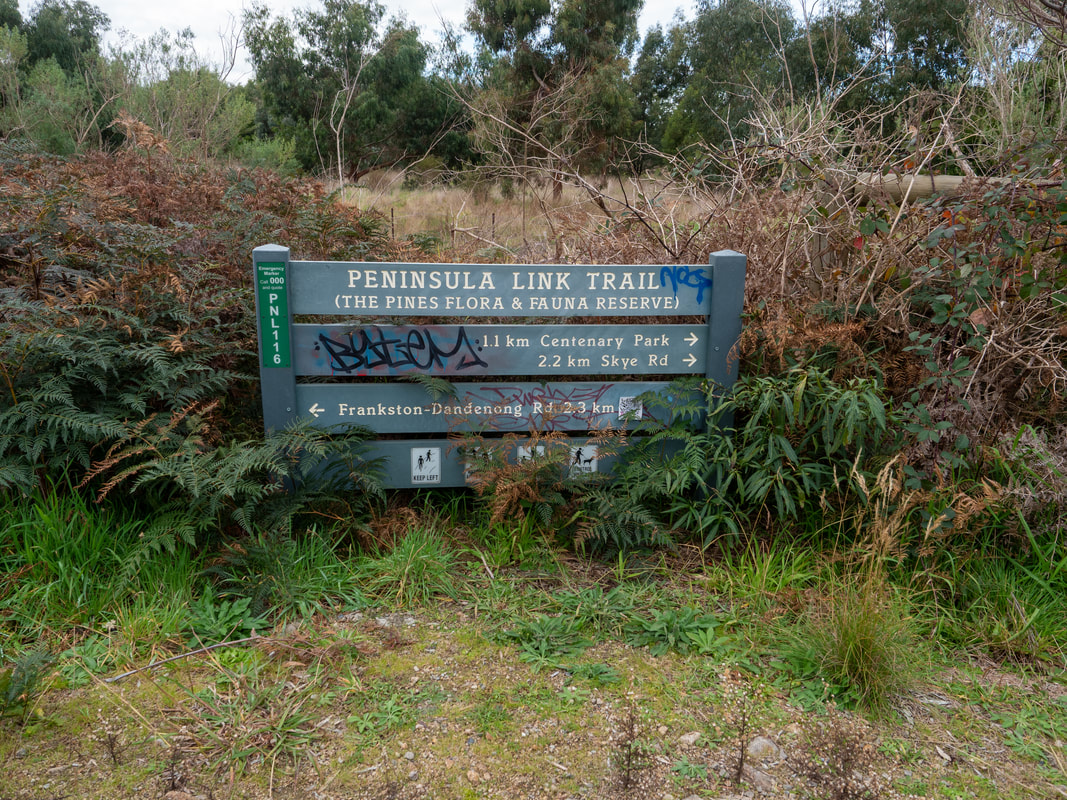 The Pines Flora and Fauna Reserve, Frankston, Mornington Peninsula, Victoria, Australia, 