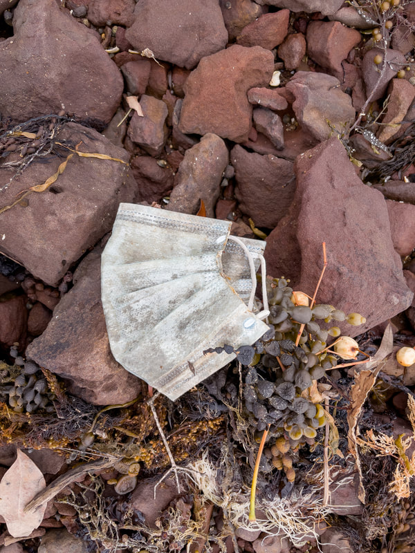 A discarded face mask washed up on a Melbourne beach. Rubbish, Australia.