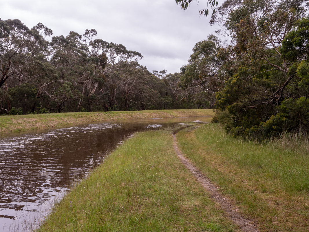 Devilbend Natural Features Reserve. Reservoir. Mornington Peninsula, Victoria, Australia. The Catch Drains.