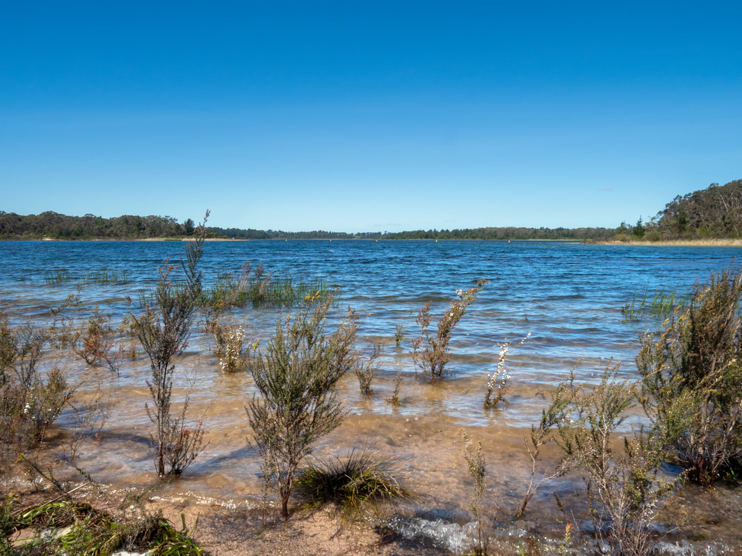 Devilbend Natural Features Reserve. Reservoir. Mornington Peninsula, Victoria, Australia. The Shoreline.