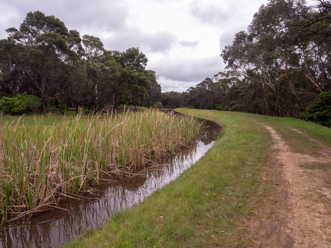 Devilbend Natural Features Reserve. Reservoir. Mornington Peninsula, Victoria, Australia. The Catch Drains.