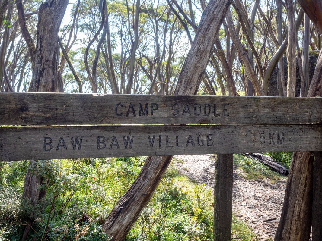 Baw Baw National Park, Victoria, Australia.