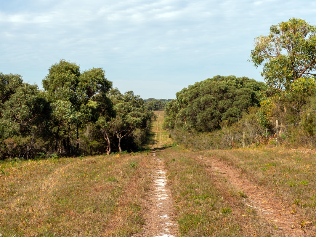 French Island, Victoria, Australia. French Island National Park. Walking Tracks.