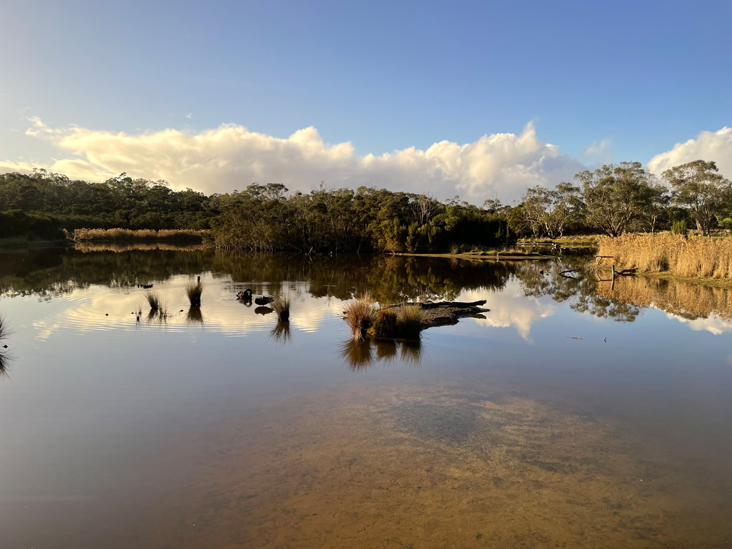 The Briars, Mount Martha, Victoria, Australia. Wetlands.