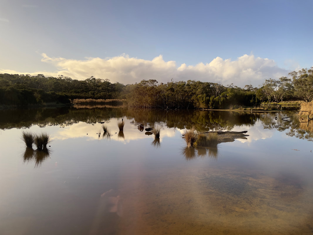 The Briars, Mount Martha, Victoria, Australia. Wetlands.