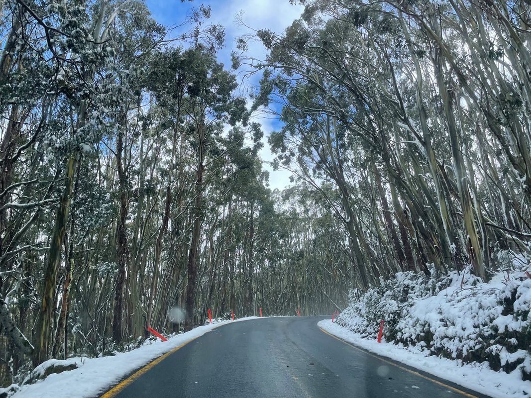 November snow on Mt Baw Baw, Victoria, Australia.