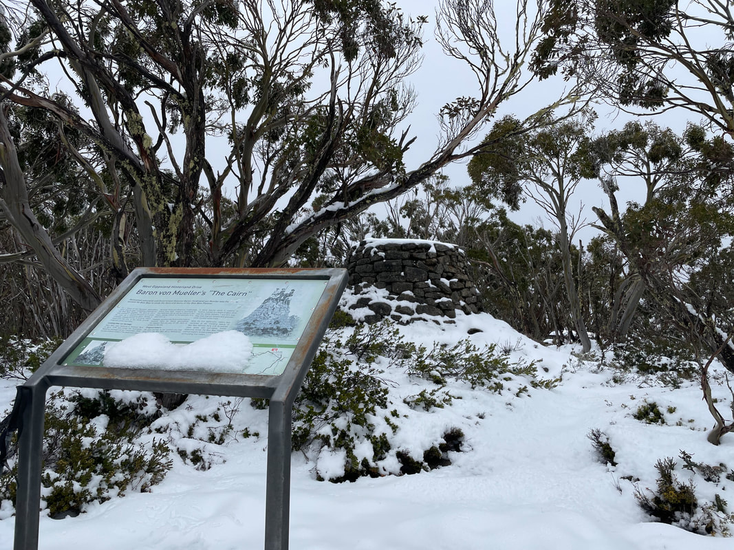 November snow on Mt Baw Baw, Victoria, Australia. Baron von Mueller's 