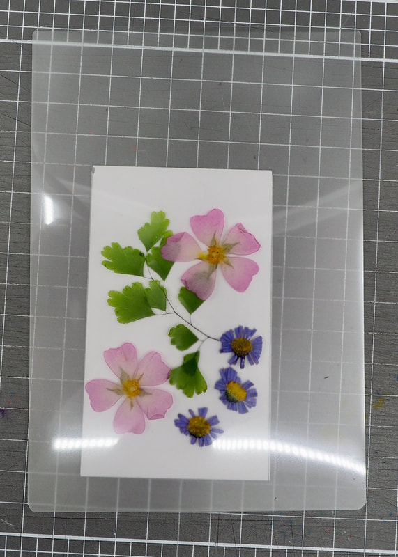 Fully illustrated tutorial to help you make your own Pressed Flower Window Card. 