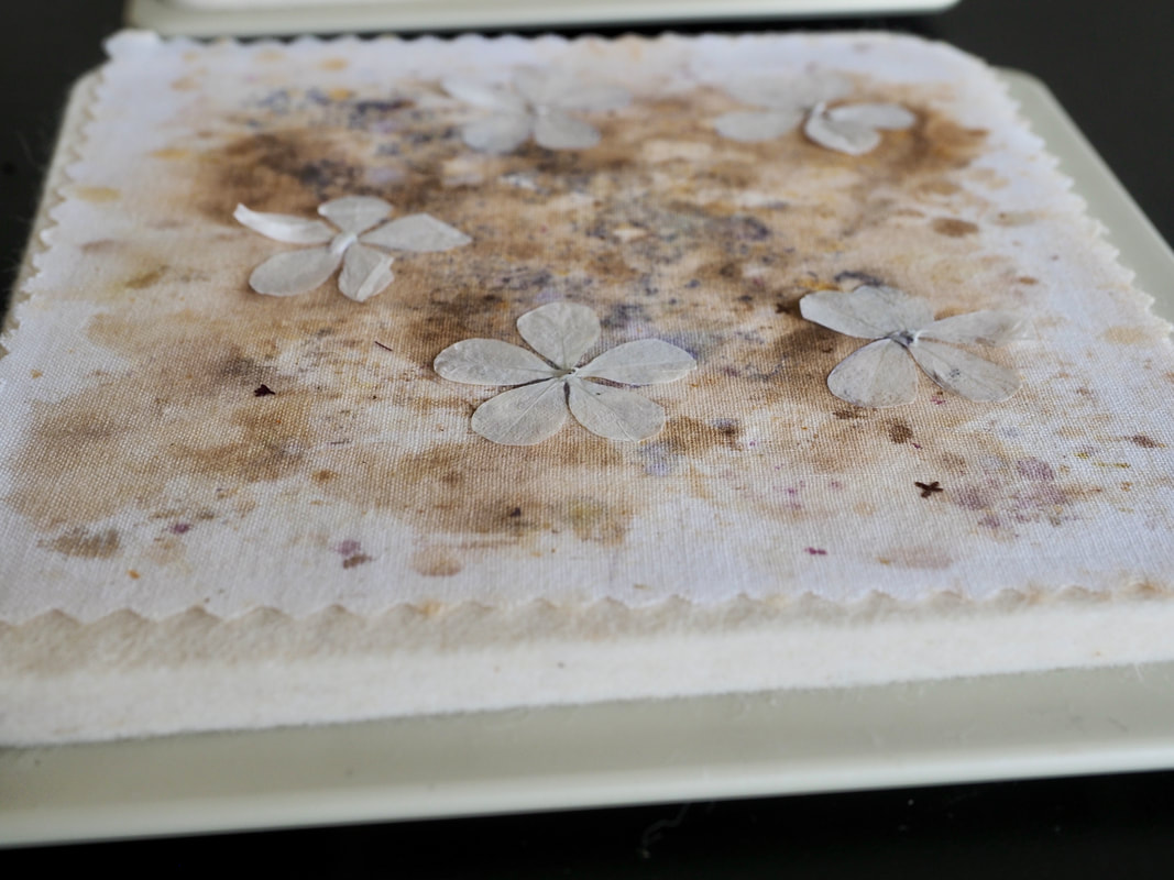 PictureMicrofleur Microwave Flower Press. Fully illustrated tutorial for creating your own beautiful pressed flowers.